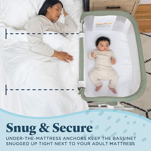 Beside Me™ Dreamer Bassinet