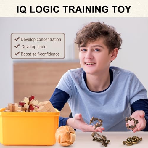 16 PCS Metal & Wooden Brain Teaser Puzzle Set (72 Count)