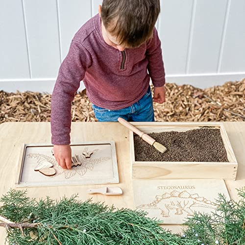 Dinosaur Excavation Archaeology Dig Kit for Kids