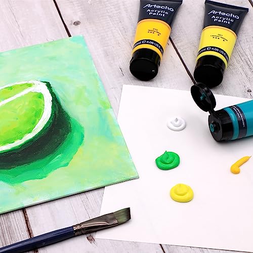 20 Colors Acrylic Paint 120ml (81 Fl Oz)