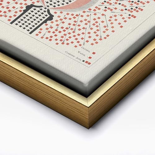 Chemistry of Combustion and Illumination Canvas