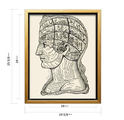 A Symbolic Head Phrenology Print 1899