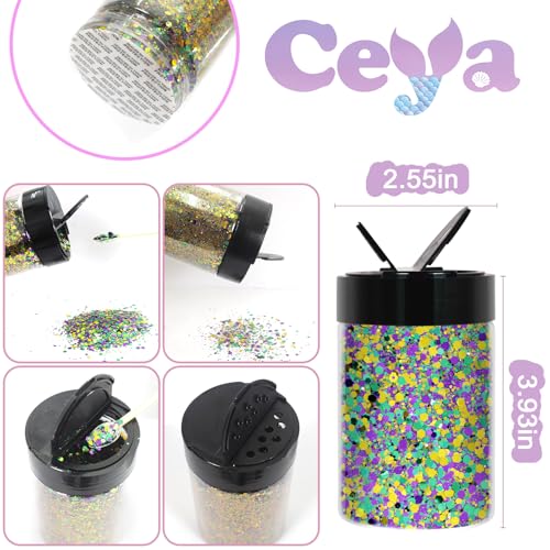 Chunky Glitter (4.94 Ounce)