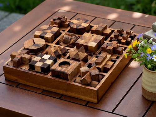 16 in 1 Wooden Brain Teaser Puzzles for Adults and Seniors Interlocking 3D Mini Wood Mind Games Hand Puzzle Teasers Set Toys Coffee Table Games Gift