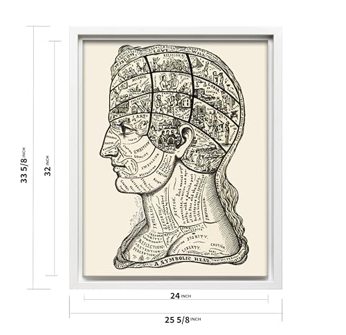 A Symbolic Head Phrenology Print 1899