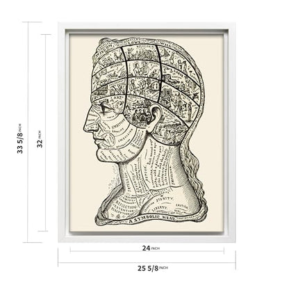 A Symbolic Head Phrenology Print 1899
