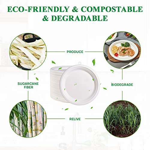 500 Pack Compostable Bagasse Paper Plates 9 inch (500 Count)