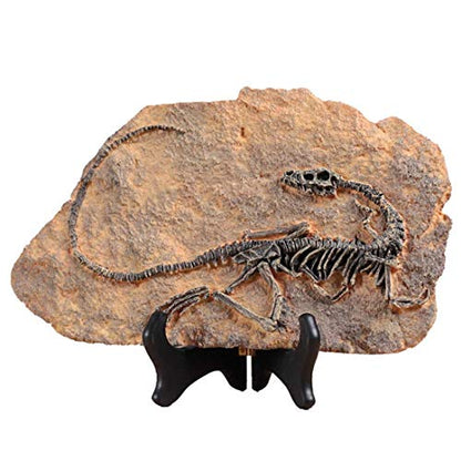 Resin Dinosaur Fossil Statue Model Simulated Skeleton Home Office Display Decorative Craft Box Decoration
