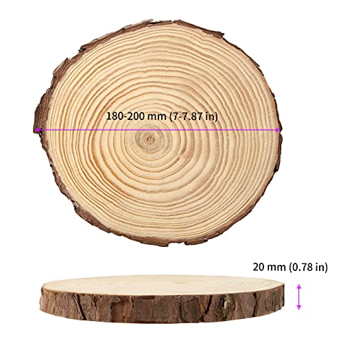 8 PCS 7 7.9 Inches Natural Unfinished Wood Slices (8 Count)