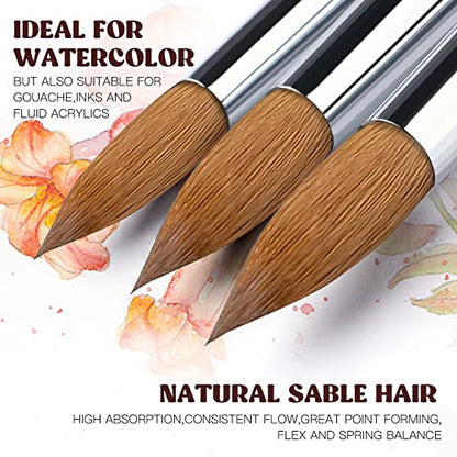 Sable Watercolor Brushes 9pcs Professional Superior Kolinsky Watercolor Paint Brushes for Artists Round Pointed Oval Wash for Watercolor Acrylics Gouache Inks Painting