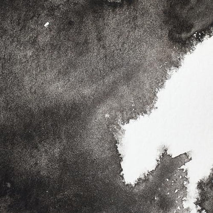 Professional Watercolor