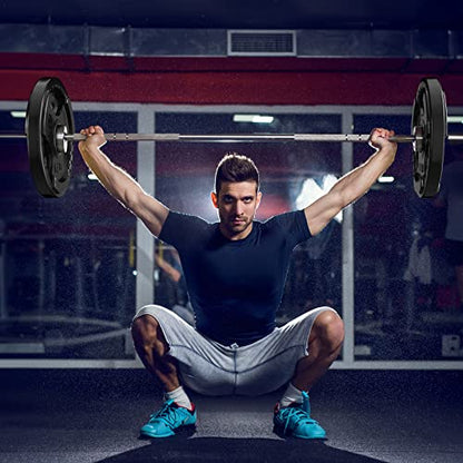 Olympic Rubber Grip Weight Plates (2 Count)