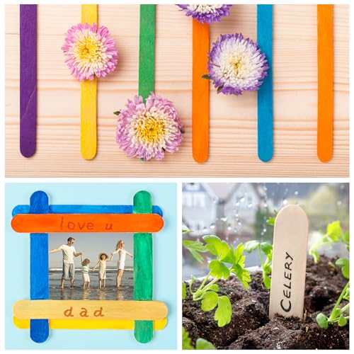 60 PCS Jumbo Popsicle Sticks