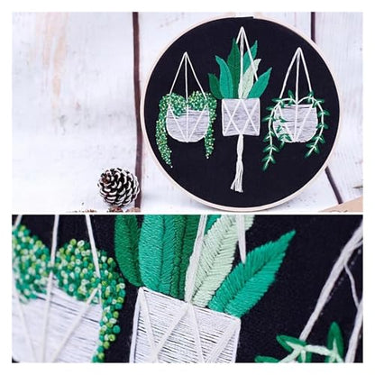 Needle Point Kits Adults Full Range of Starter Including Instructions Stamped Cloth with Pattern Hoop Color Threads and Tools Art Projects