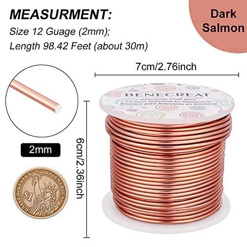 12 Gauge 100FT Aluminum Wire Anodized Jewelry Craft Making Wire Beading Floral Aluminum Craft Material for Jewelry Craft Sculpture (100 Foot)