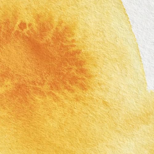 Professional Watercolor