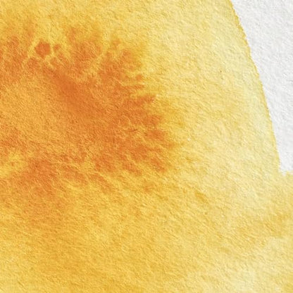 Professional Watercolor