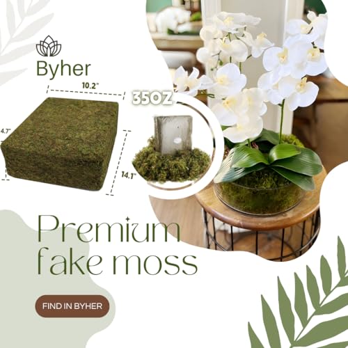 2.2LB Large Capacity Fake Moss for Plants Indoor (35 Ounce)
