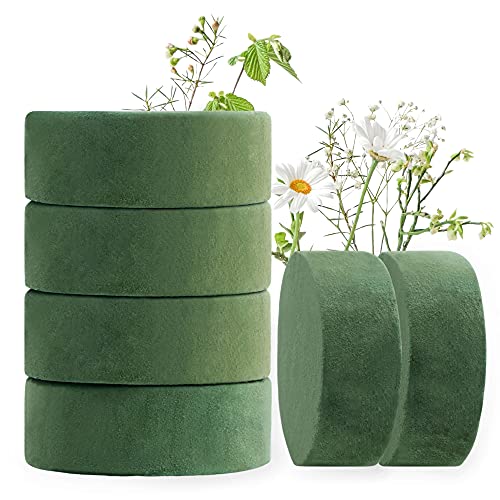 Round Floral Foam Blocks (6 Count)