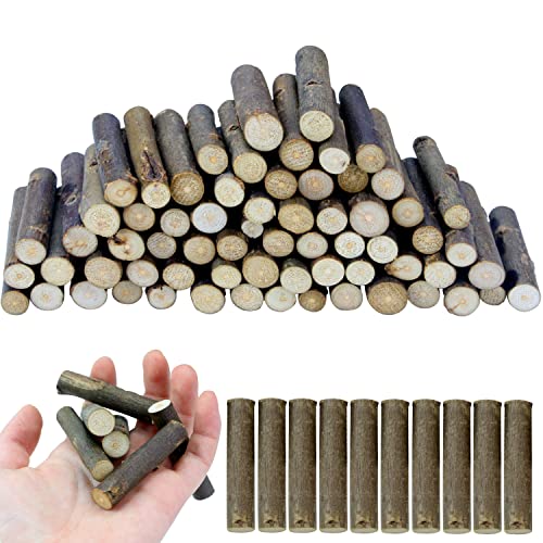 100 PCS Craft Sticks (100 Count)