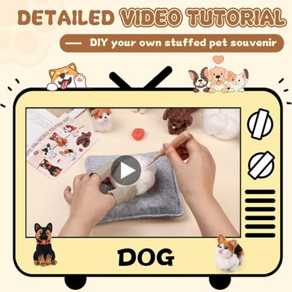 6 Pcs Needle Felting Kit