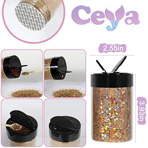 Holographic Chunky Glitter (3.5274 Ounce)