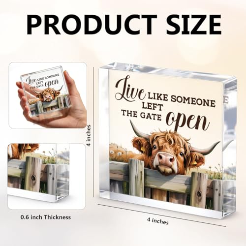 Cute Cow Decorative Signs