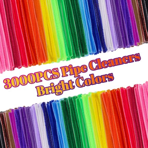 3000 Pieces Colorful Craft Pipe Cleaners Bulk (3000 Count)