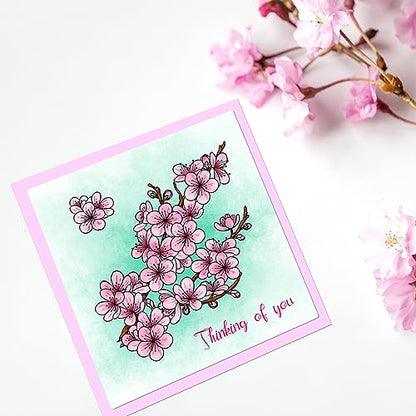 Winter Plum Blossom Stamps & Dies & Layering Coloring Stencil Set
