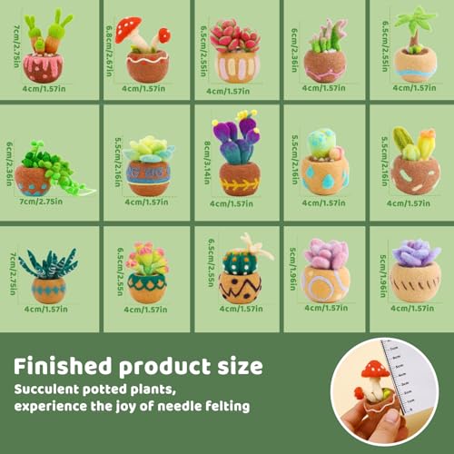 Needle Felting Kit