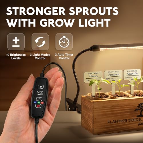 Bonsai Tree Kit Deluxe + Growing Light