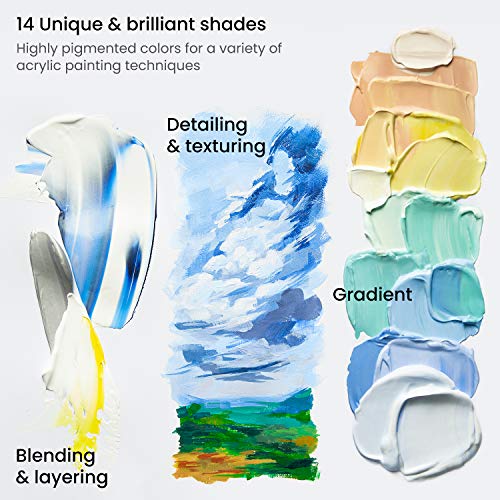 Acrylic Paint Set of 14 Colors (56.84 Fl Oz)