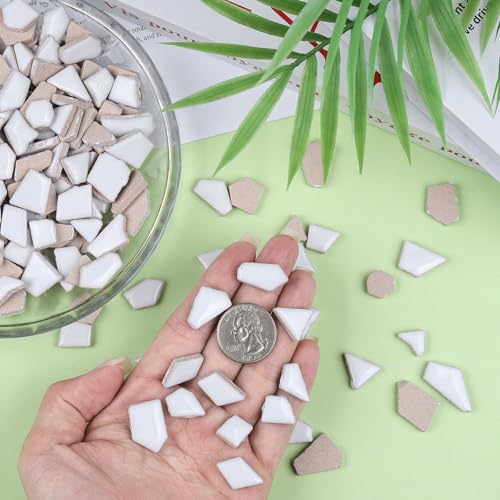 White Ceramic Mosaic Tiles for Crafts