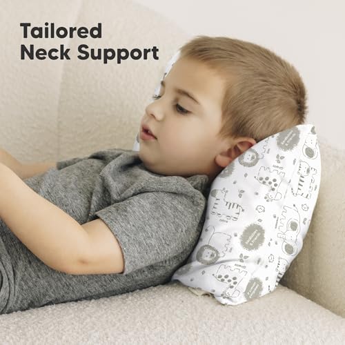 Toddler Pillow with Pillowcase