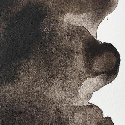 Professional Watercolor