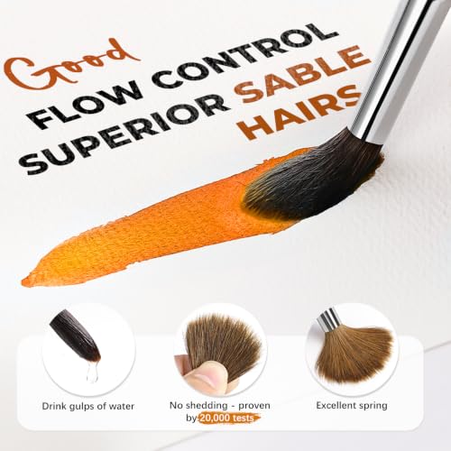 Watercolor Brushes Professional (8 Count)