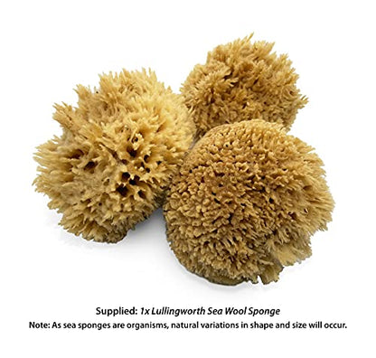 Sea Wool Art Sponge