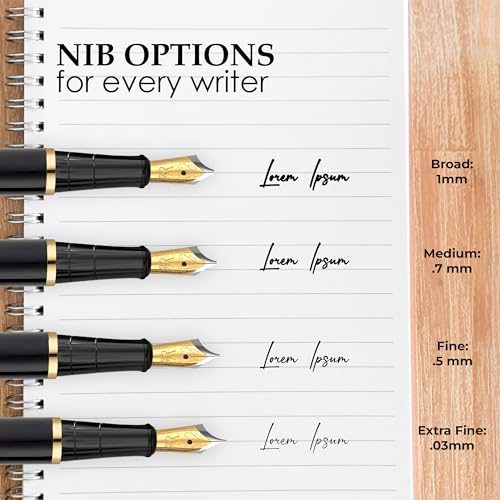 Fountain Pen Set for Writing