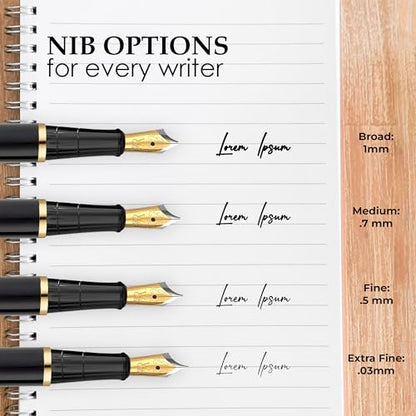 Fountain Pen Set for Writing