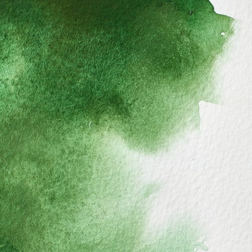 Professional Watercolor