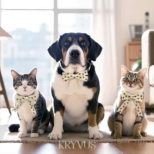 Paw Print Ribbon (36 Foot)