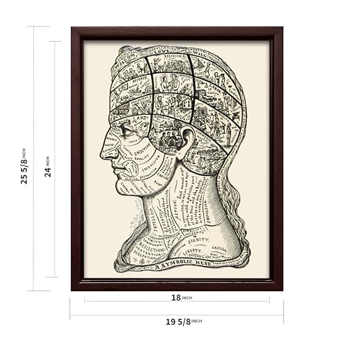 A Symbolic Head Phrenology Print 1899