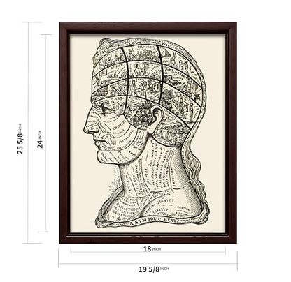 A Symbolic Head Phrenology Print 1899