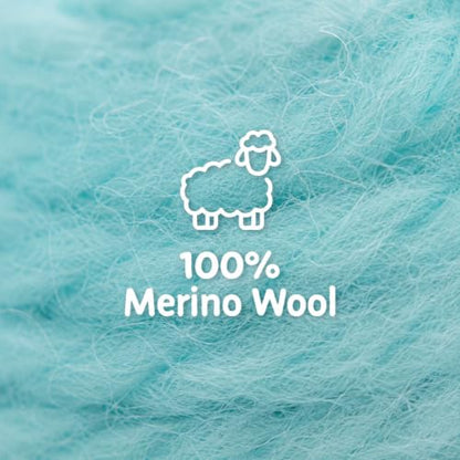 Wool Roving Kit for Needle Felting