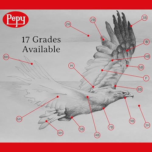 Graphite Professional Drawing Pencils (12 Count)