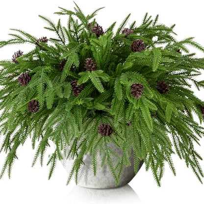 15 Pcs Christmas Norfolk Pine Branches Pine Cones (15 Count)
