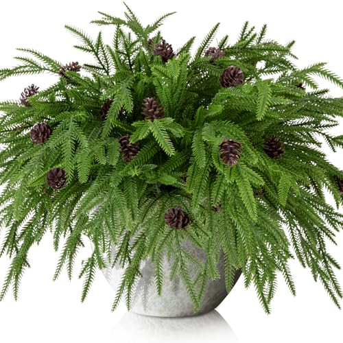 15 Pcs Christmas Norfolk Pine Branches Pine Cones (15 Count)