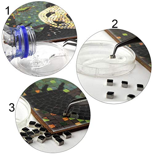 Roman Mosaic Art Kits for Adults
