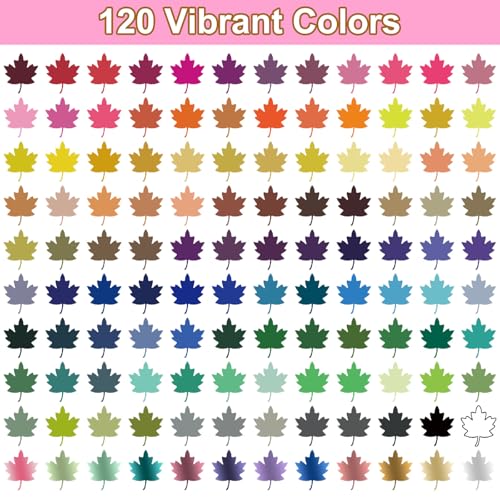 120 Colors Dual Tip Acrylic Paint Markers (60 Count)