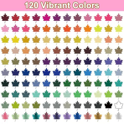 120 Colors Dual Tip Acrylic Paint Markers (60 Count)